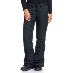 Roxy Backyard Women's Snow Pant